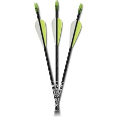 Carbon Express D-Stroyer arrows