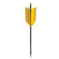 Flu Flu Arrows