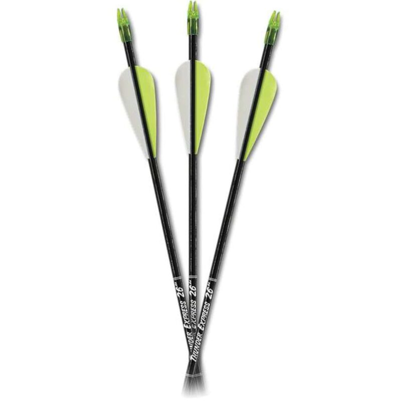 Carbon Express D-Stroyer arrows