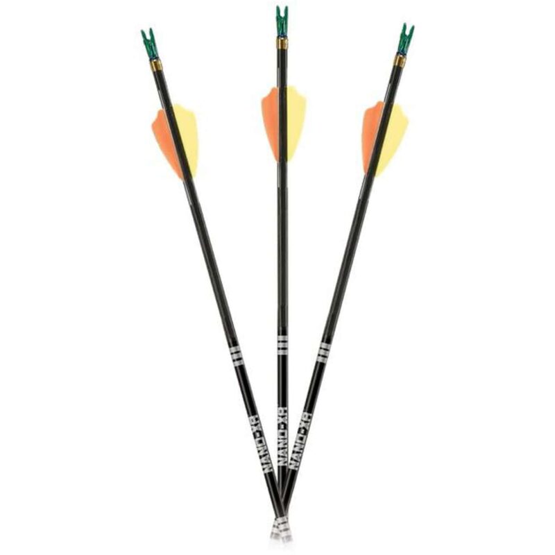 Carbon Express Nano XR arrows