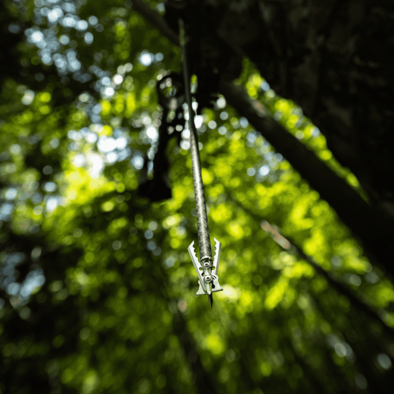 Hypodermic NC - Image 4