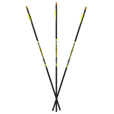 D-Stroyer - 350 / 6-pack fletched
