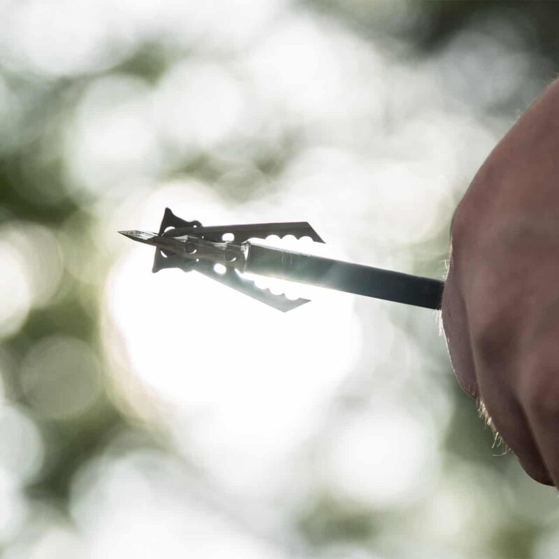 Hypodermic NC +P - Image 4