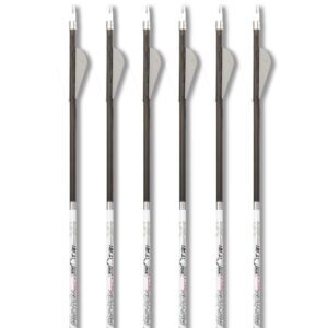 Photon arrow six-pack