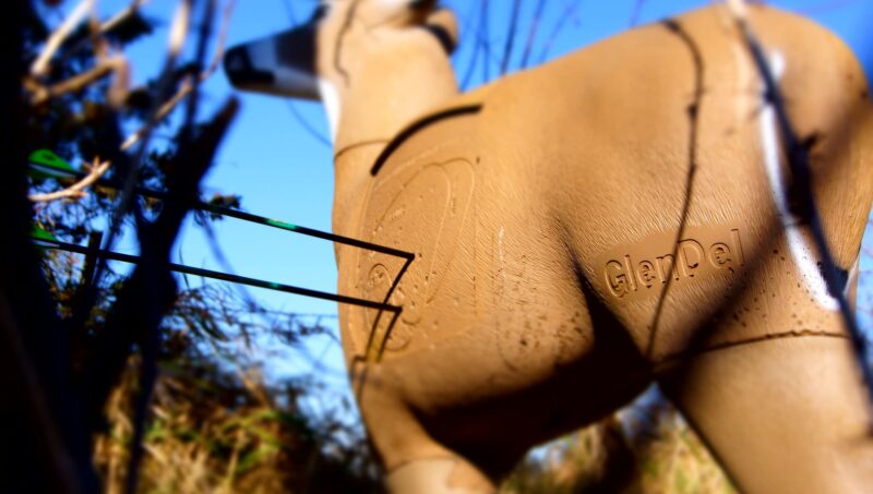 Blem GlenDel Buck - Image 2
