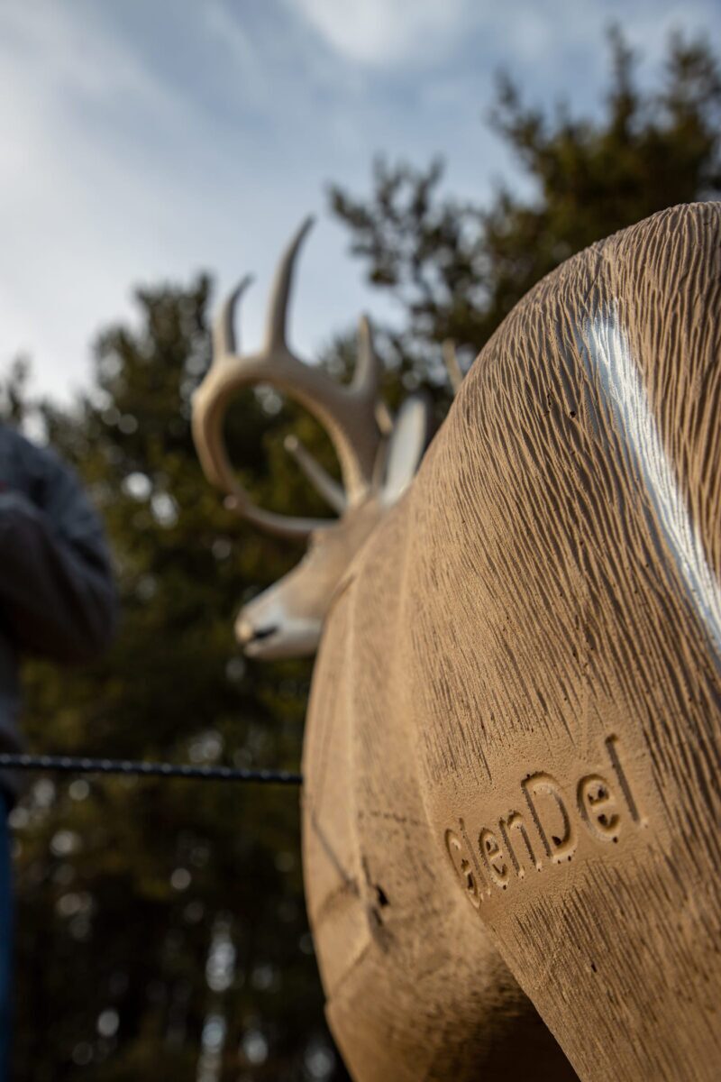 Blem GlenDel Buck - Image 5