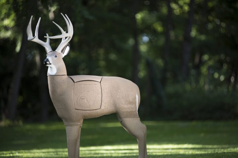 Blem GlenDel Buck - Image 6