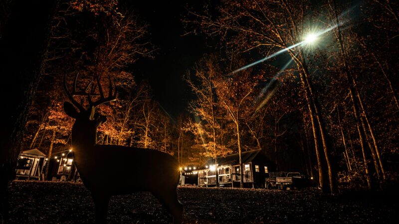 Blem GlenDel Buck - Image 8