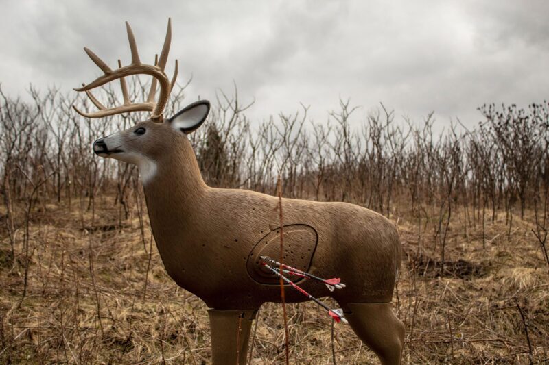 Blem Big Shooter Buck - Image 2