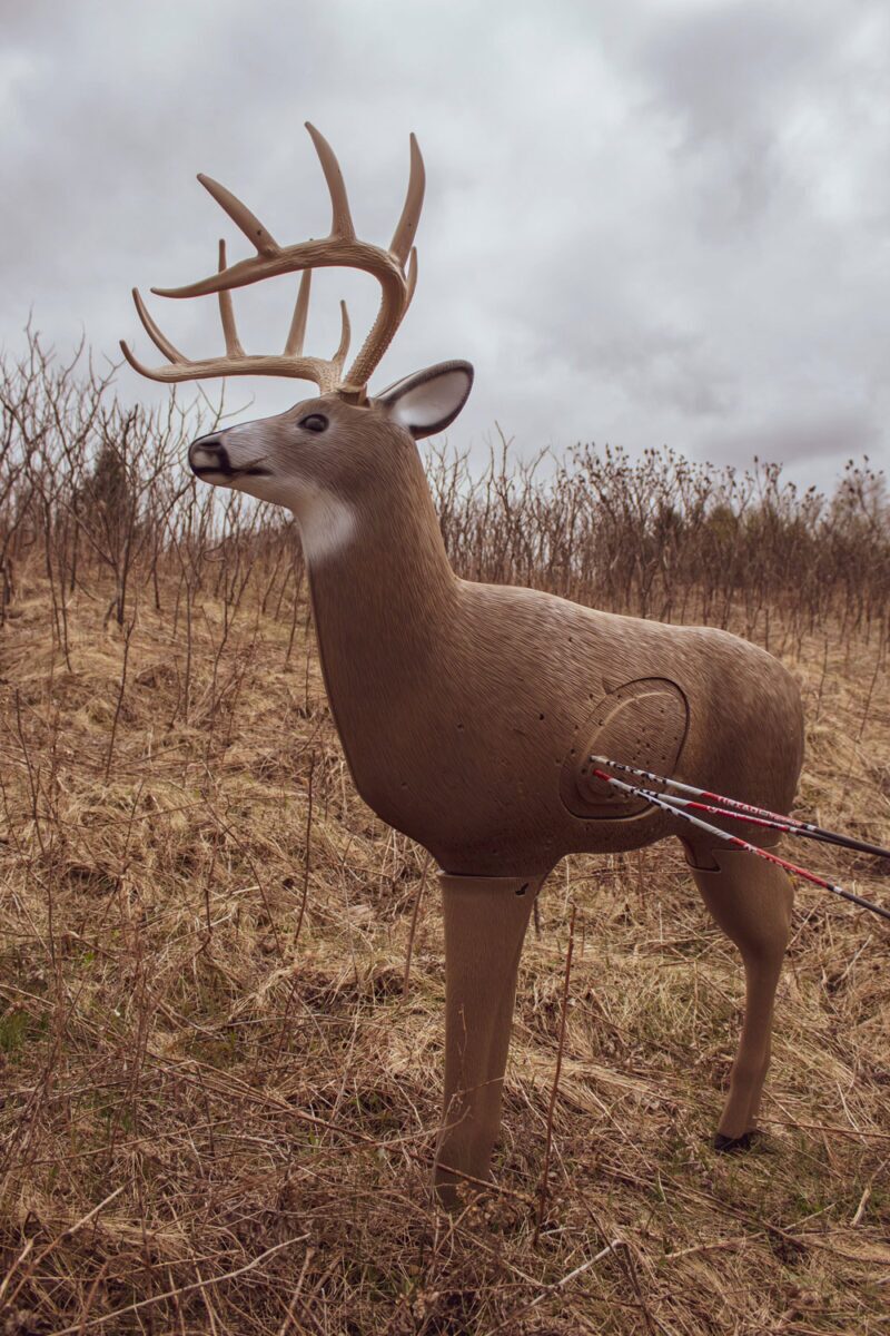Blem Big Shooter Buck - Image 3