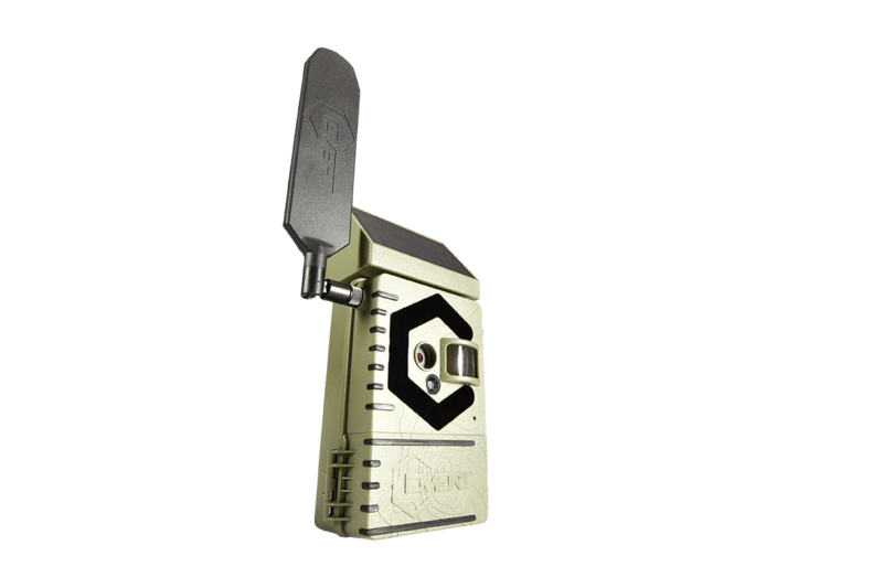 Interceptor Solar - Image 5