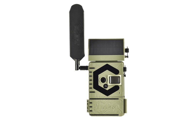 Interceptor Solar - Image 8