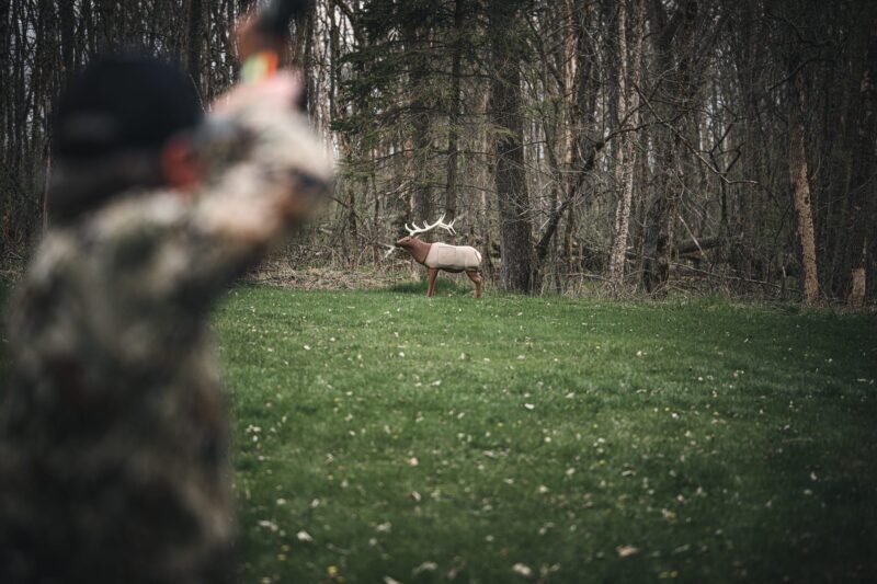 Blem GlenDel Elk - Image 2