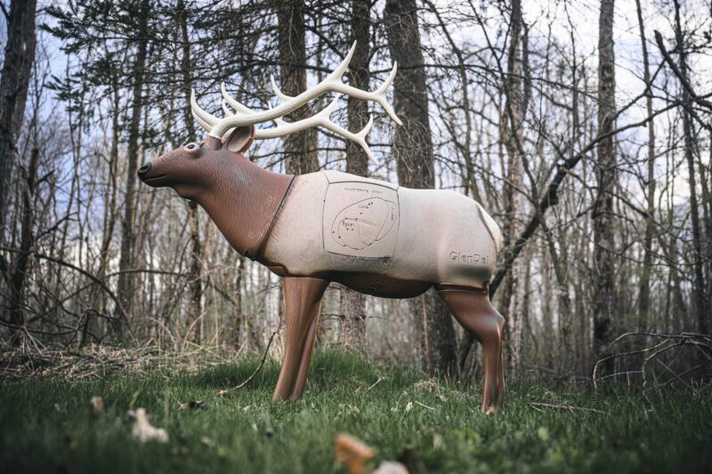 Blem GlenDel Elk - Image 8