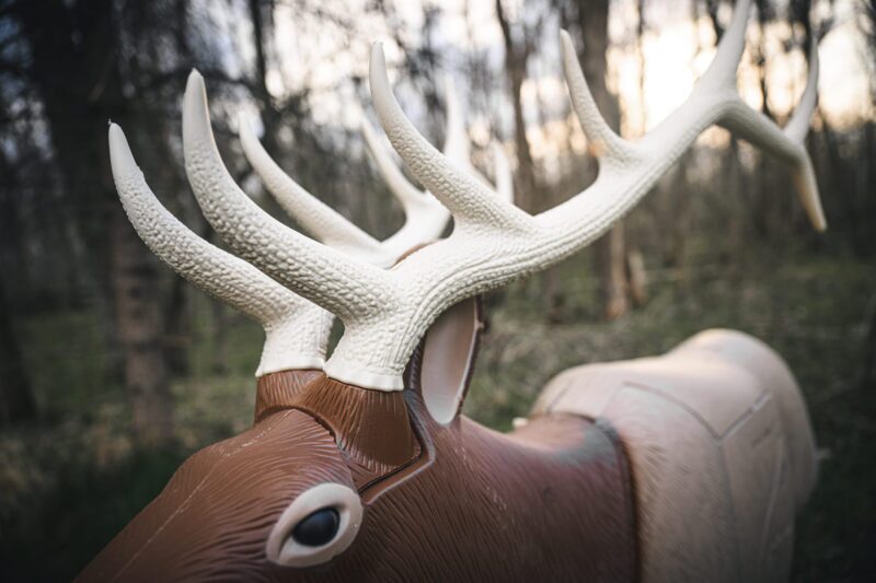 Blem GlenDel Elk - Image 10