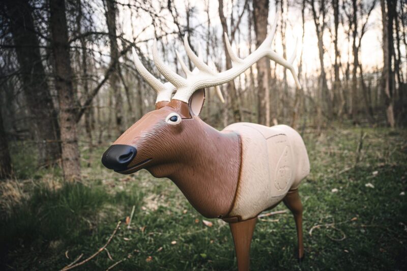 Blem GlenDel Elk - Image 11