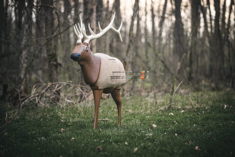 Blem GlenDel Elk - Image 3