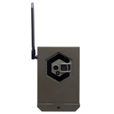 Interceptor Series Bear Safe