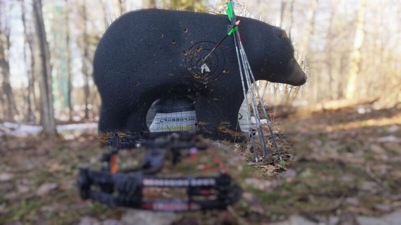 Blem Shooter 3D Bear - Image 2