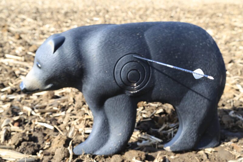 Blem Shooter 3D Bear - Image 4