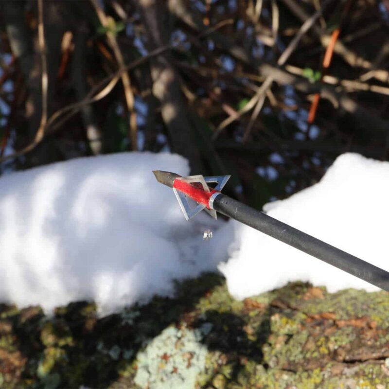 MX-4 Broadhead - Image 4