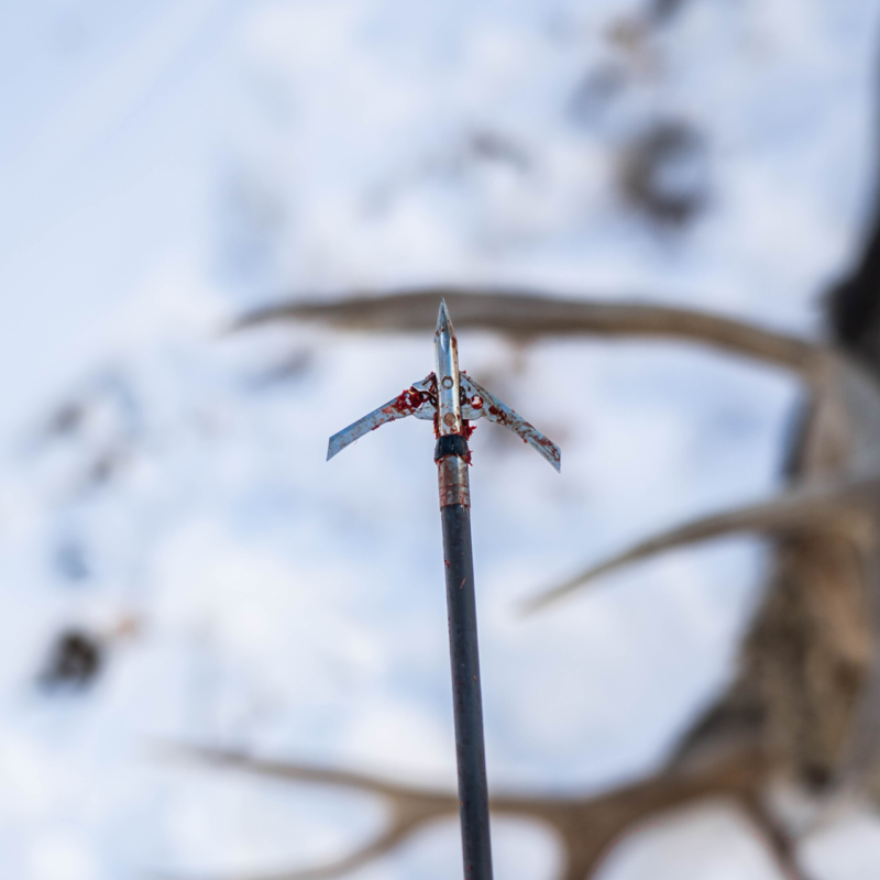 Hypodermic Trypan NC - Image 4