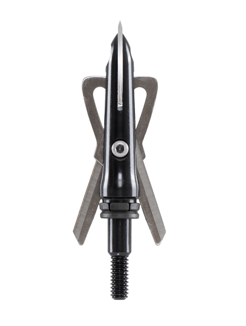 Black Series Chisel 2in 3pk - Image 7