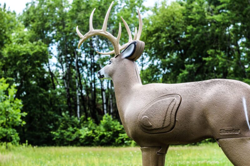 Blem Shooter Buck - Image 2