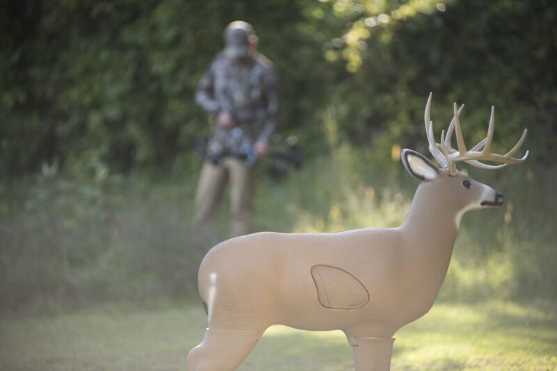 Blem Shooter Buck - Image 3