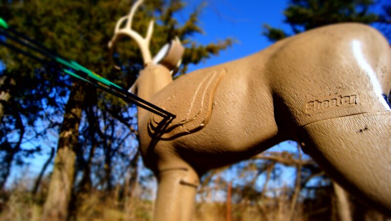 Blem Shooter Buck - Image 4